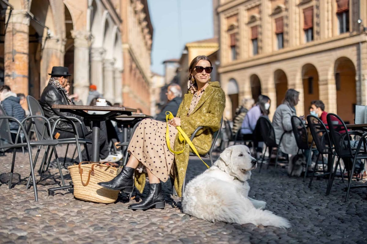 Living In Bologna as An Expat