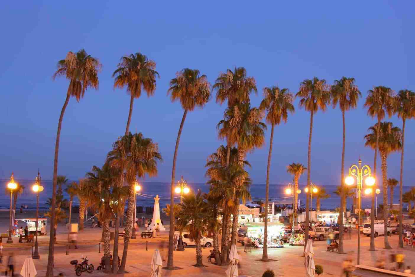 Palm Tree Beach of Larnaca