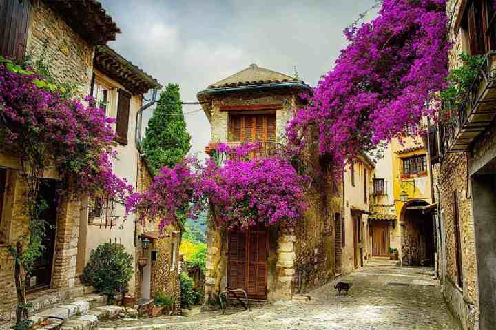 Best Places To Live France