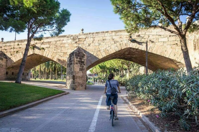 A cyclist on Les Jardins du Túria in Valencia, Spain