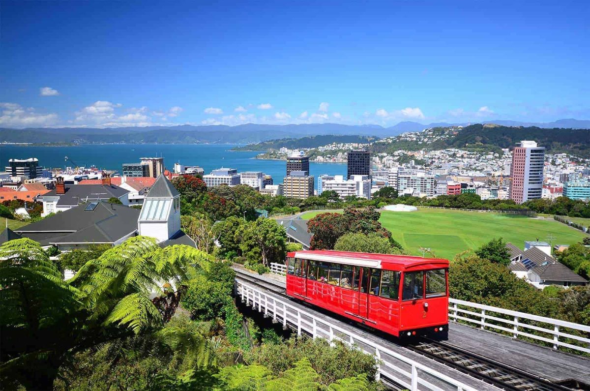 New Zealand, a view of a city from the surrounding hills. 