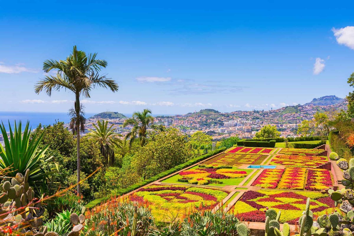 Colourful flowers and flower beds of gardens in Funcgal, Portugal