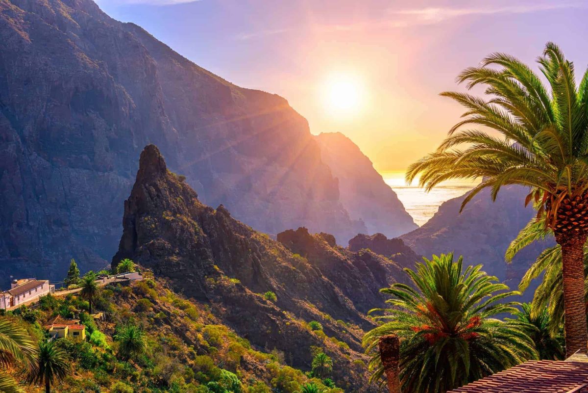 The view of Canyon Masca in Tenerife - mountains and palms with the sea in the background.