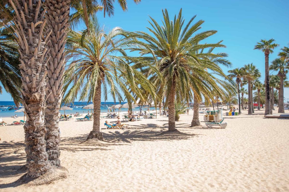 Living in Spain - the Canary islands