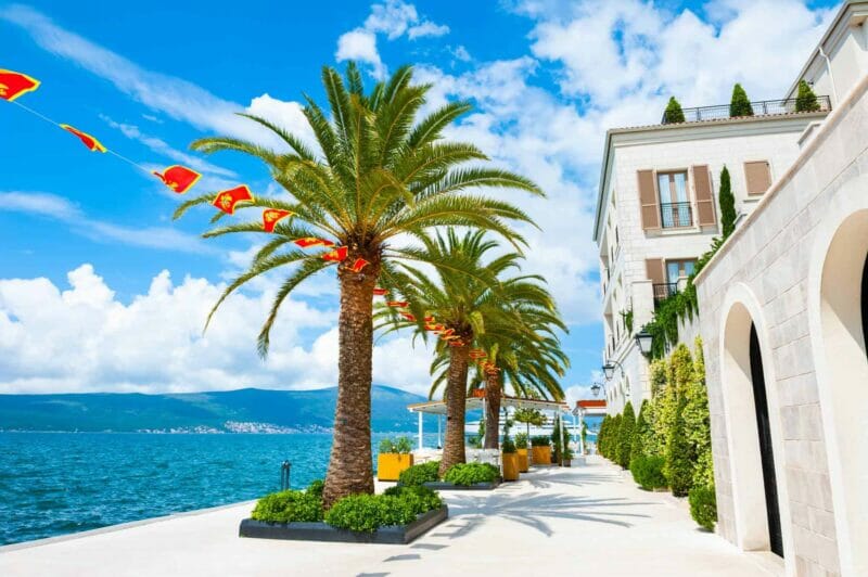Palm-lined promenade in Tivat on a sunny day