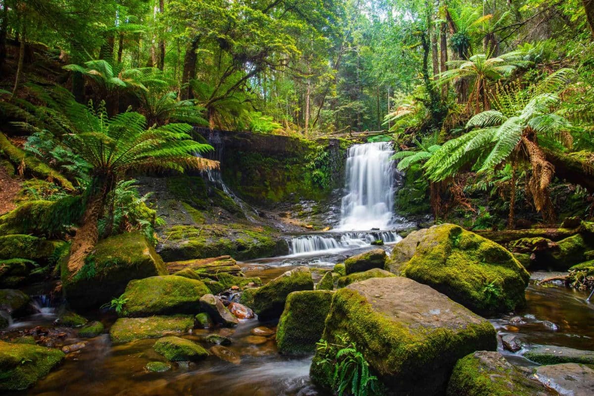 Best places to live in Australia - Hobart - Horseshoe waterfalls in Mount Field National Park in Tasmania