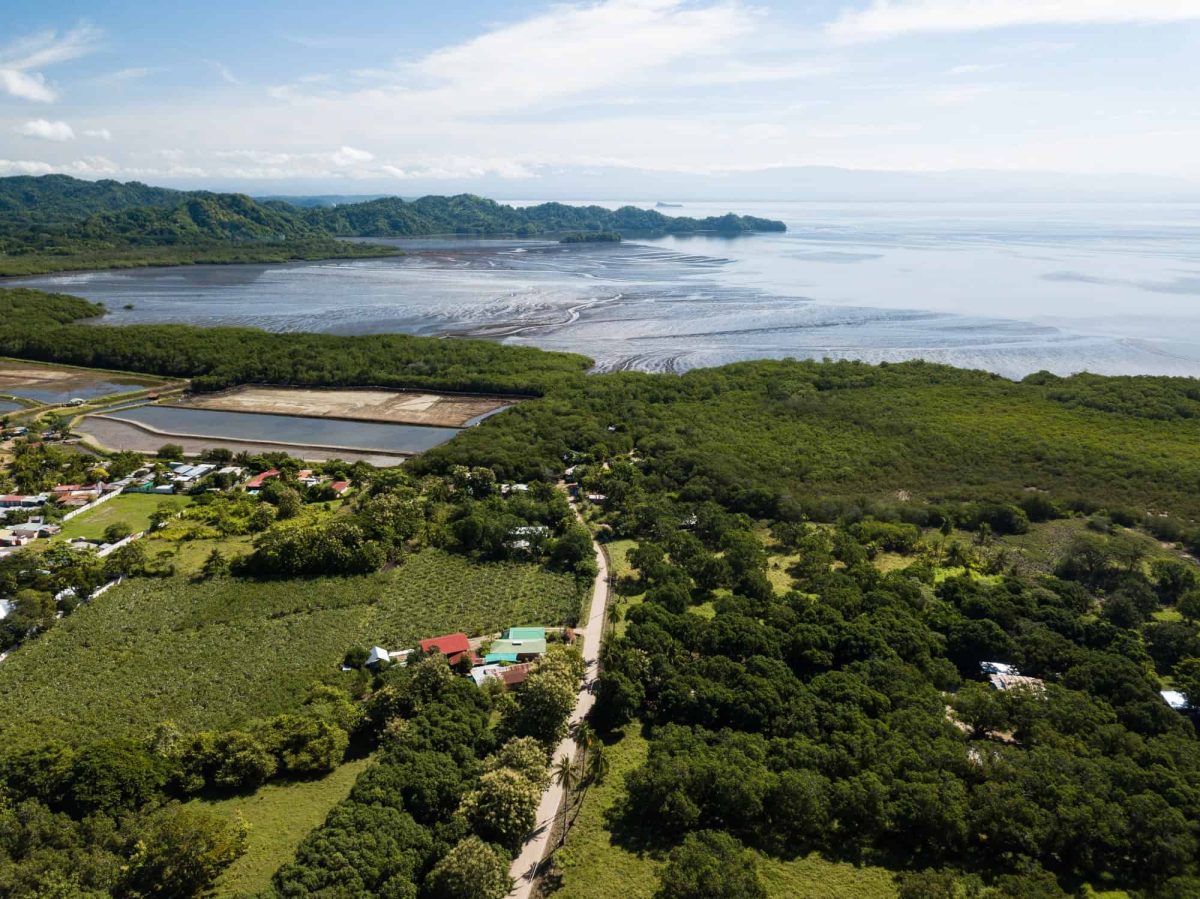 Paquera, one of the quaint towns on the southern tip of the Nicoya Peninsula with the Gulf of Nicoya, a local shrimp farm and other farms growing fruit and veg.