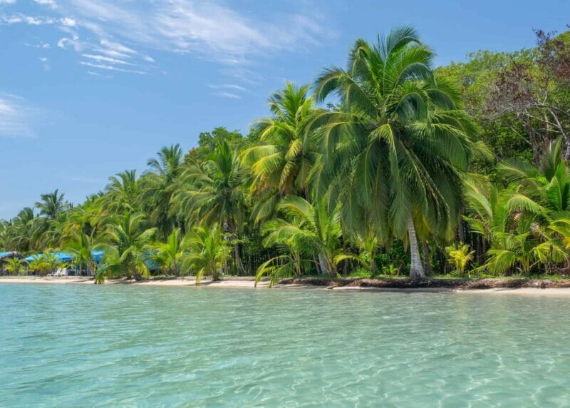 A beautiful beach in Bocas del Toro