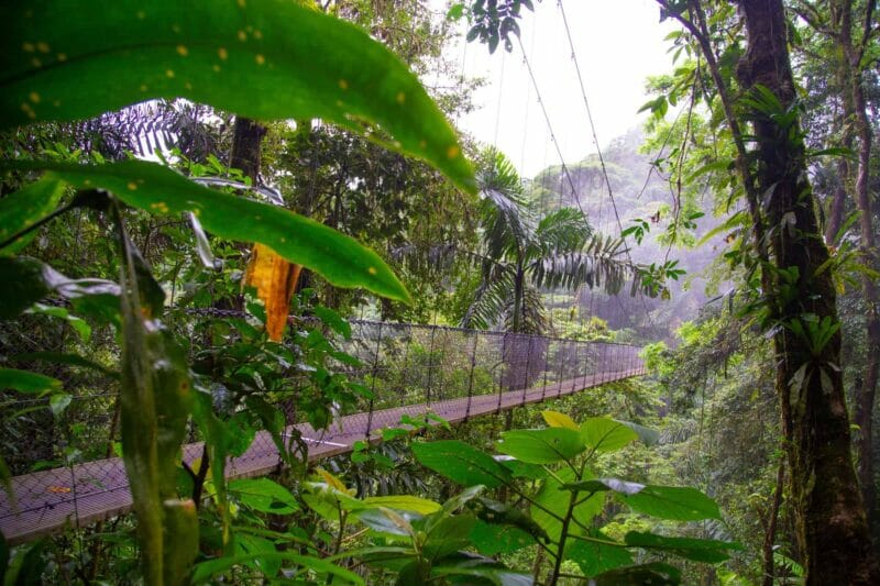 Hanging bridges in the Arenal National Park