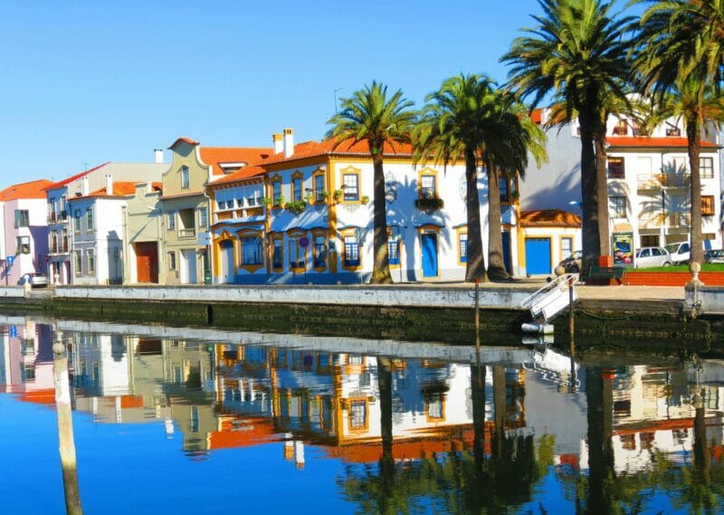 White houses with red roofs and palms along one of the many canals in Aveiro on a sunny day. 