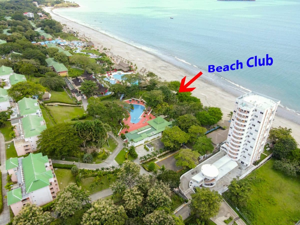 The beach club