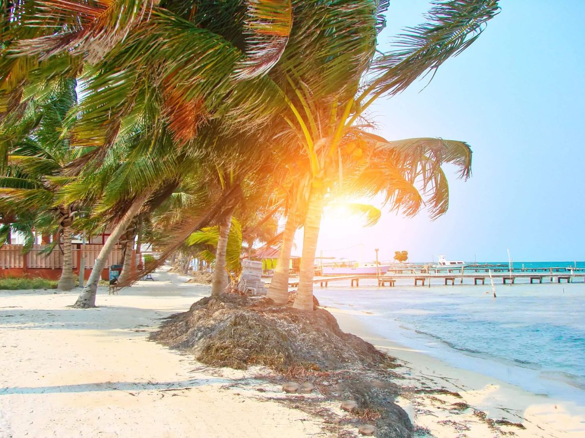 A tropical beach with palms and golden snd in Belize