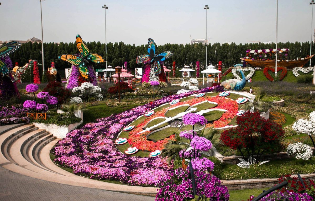 Colorful flowerbeds in Dubai Miracle Garden