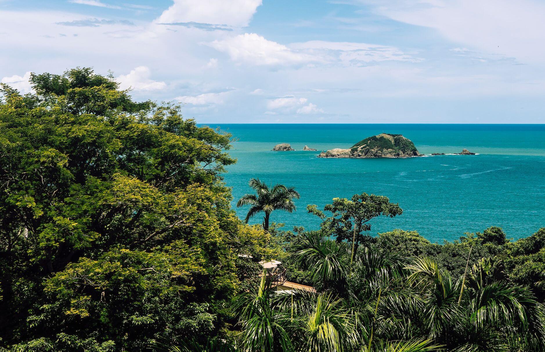 A view of the sea across the palm grove in Manuel Antonio, Costa Rica