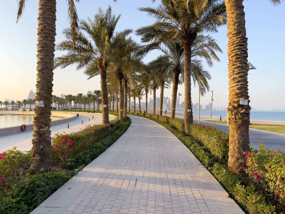 A paved pathway framed by palm trees in Doha