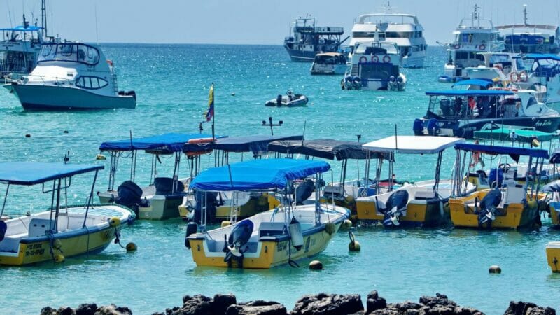 Row of water taxis in the harbor in Puerto Ayora, Santa Cruz Island, Galapagos, Ecuador