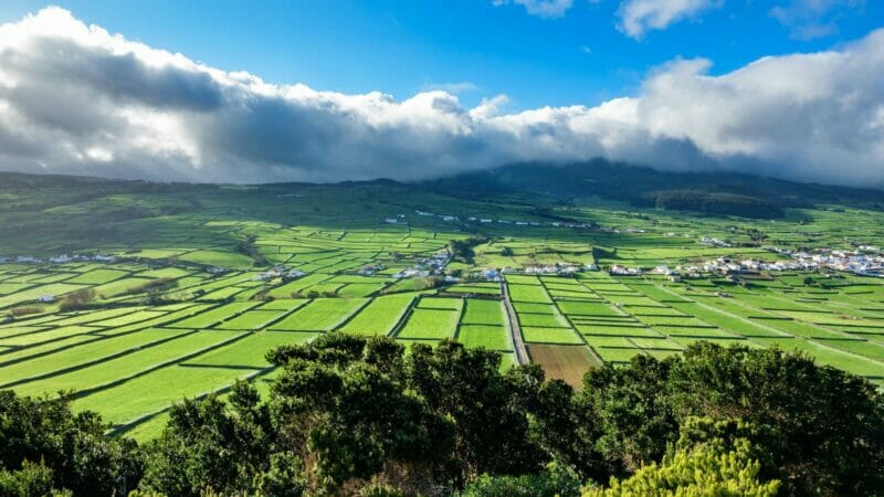 Green farm fields on the island of Terceira in the Azores
