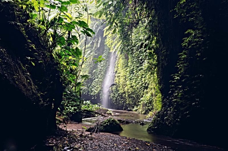 A waterfall in the forest of Bali illuminated by beams of sunlight.