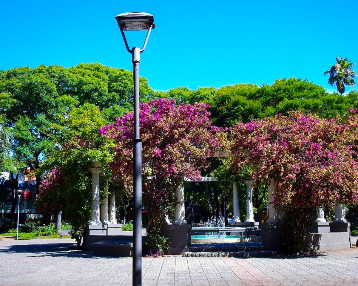 A green and leafy town square in Durazno, Uruguay